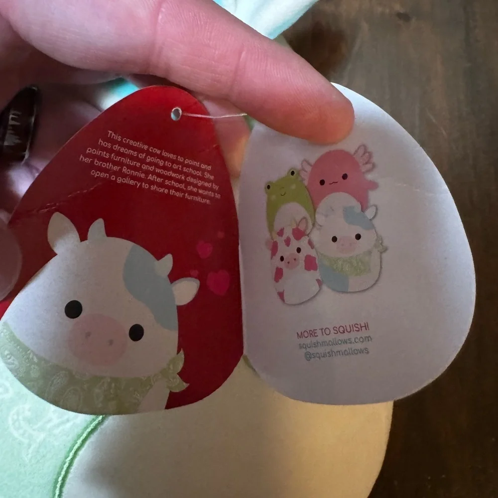 Squishmallows 11